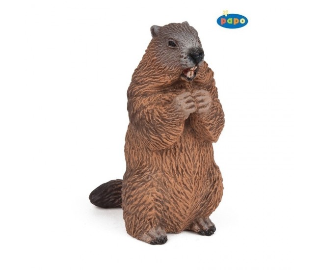 Marmota - Figurina Papo