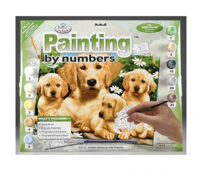 Pictura creativa pe numere avansati Golden Retriever