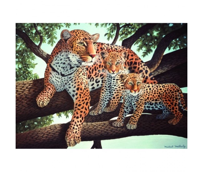 Pictura pe numere juniori - Leopard african