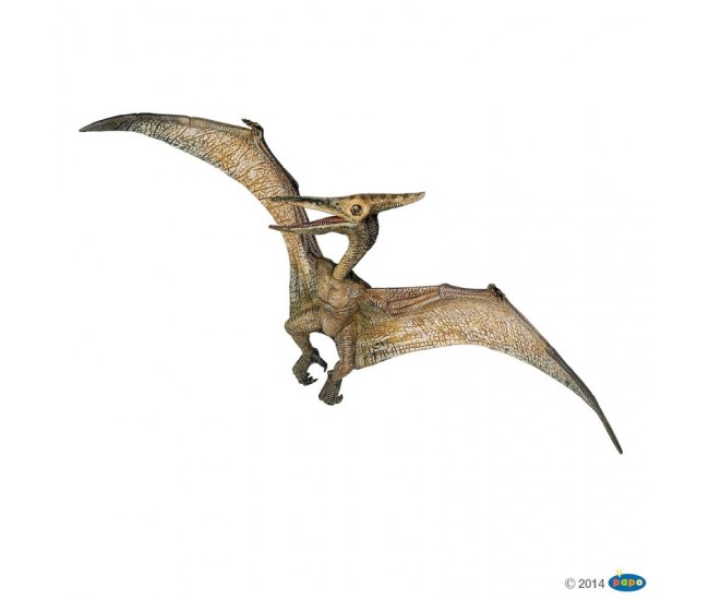 Pteranodon Dinozaur - Figurina Papo