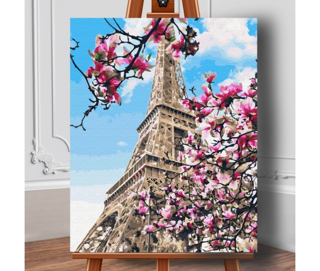 Set premium pictura pe numere (panza) Magnolia in floare la Paris 50x40 cm