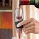 Decantor pentru vin