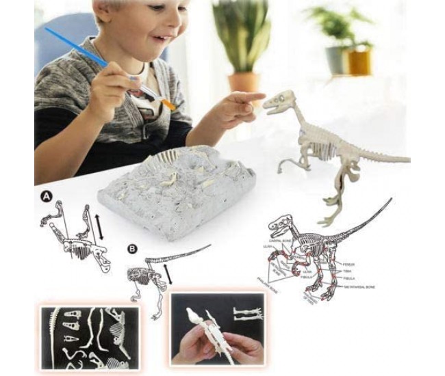 Set educativ paleontologie descopera fosile dinozaur Velociraptor