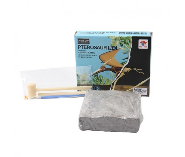 Set educativ paleontologie descopera fosile dinozaur Pterosaur