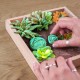 Set creatie wood & craft - succulents, 21*21cm - energy