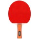 Set tenis de masa ping pong rebel active