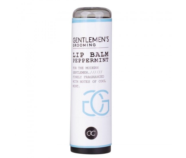 Balsam de buze pentru barbati Gentlemen's Grooming, Accentra, 7571338, 4,2 g