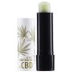 Balsam de buze hrănitor cu ulei natural de cânepă cu CBD, Revers, vegan,4g