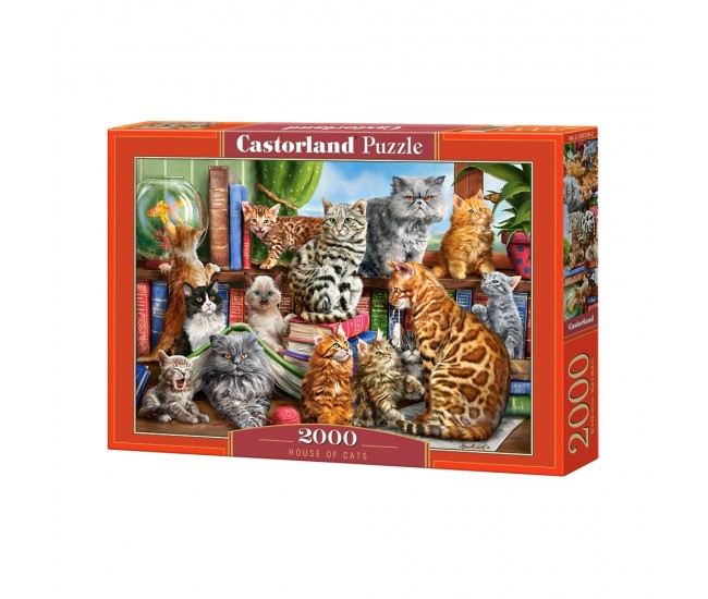 Puzzle 2000 Pcs - Castorland