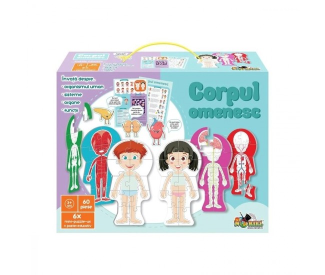 Noriel puzzle - Corpul omenesc