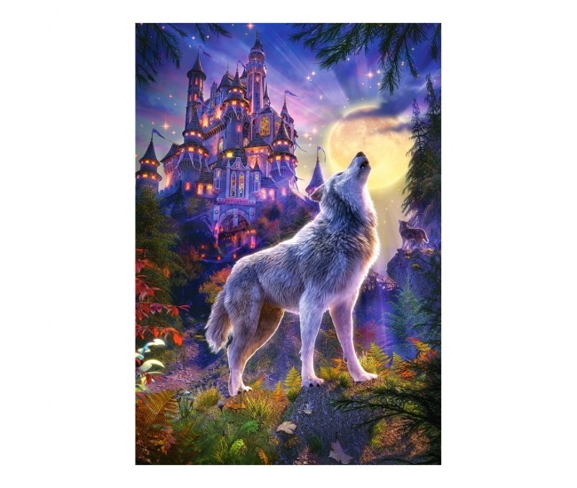 Puzzle 1000 Pcs - Castorland