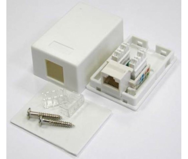 Priza simpla UTP cat5 RJ45 neecranat pe tencuiala Well