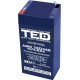 Acumulator 4V 4.6Ah 47x47xh100.6mm AGM Battery TED446F1 TED002853