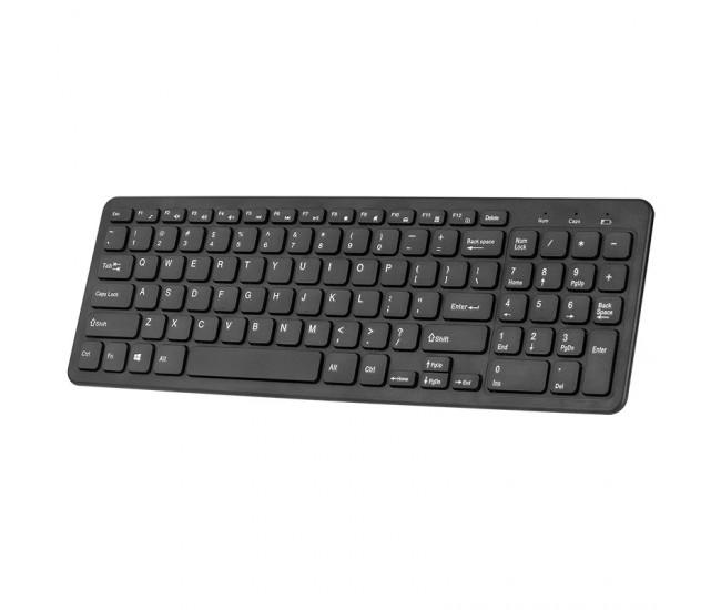 Tastatura wireless USB 2.0 2x AAA WDK500 REBEL