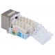 Conector Keystone CAT6a Intellinet RJ45 mama