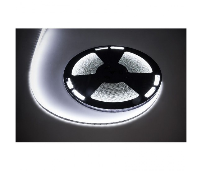 Banda LED 5050 IP65 6500K alb rece 660lm/m 14.4W/m 12V 1metru Rebel