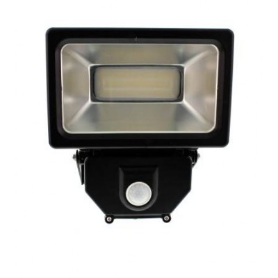 Proiector cu LED SMD 30W 1950lm IP44 4000K Well