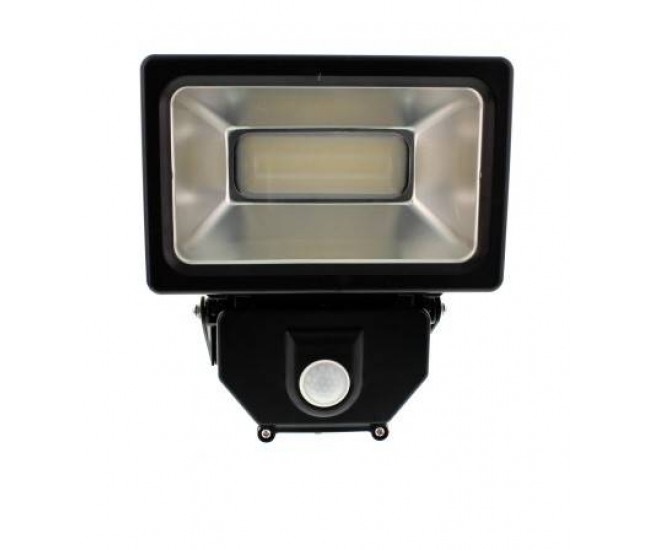 Proiector cu LED SMD 30W 1950lm IP44 4000K Well