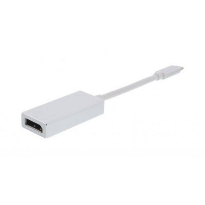 Adaptor USB Type C 3.1 la DisplayPort 4K 60Hz Well