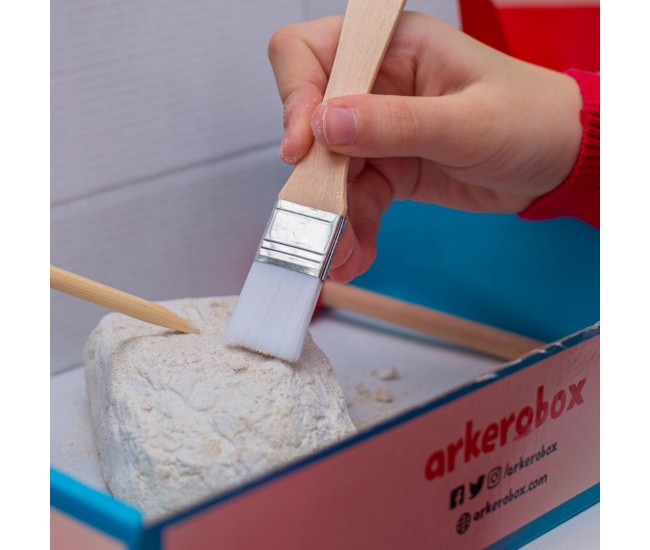 Arkerobox - set arheologic educational si puzzle 3d, istanbul