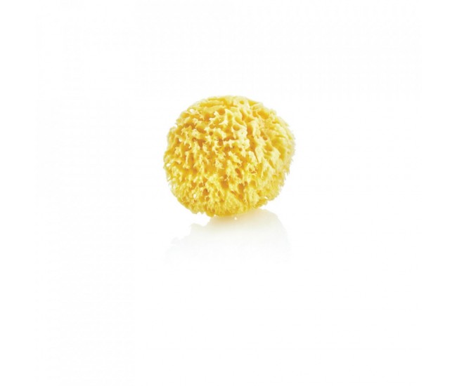 Burete natural pentru bebelusi babyjem sea sponge